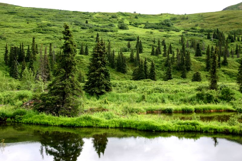 070404 Hope Hatcher Montana Creek (10187)